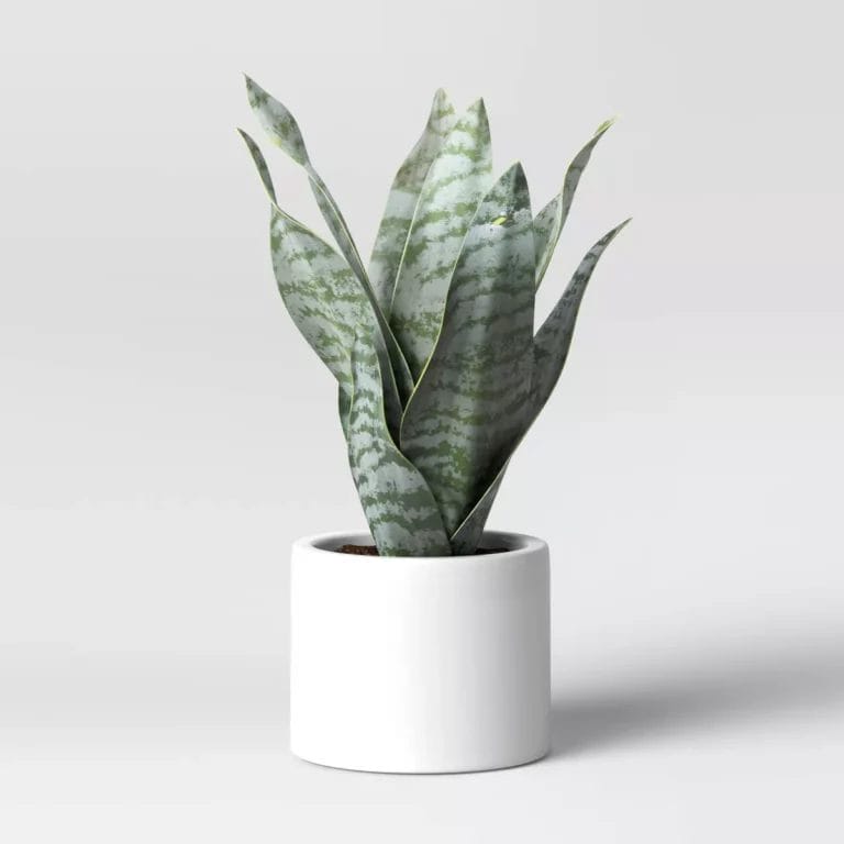 Threshold Artificial Snake Plant in Pot