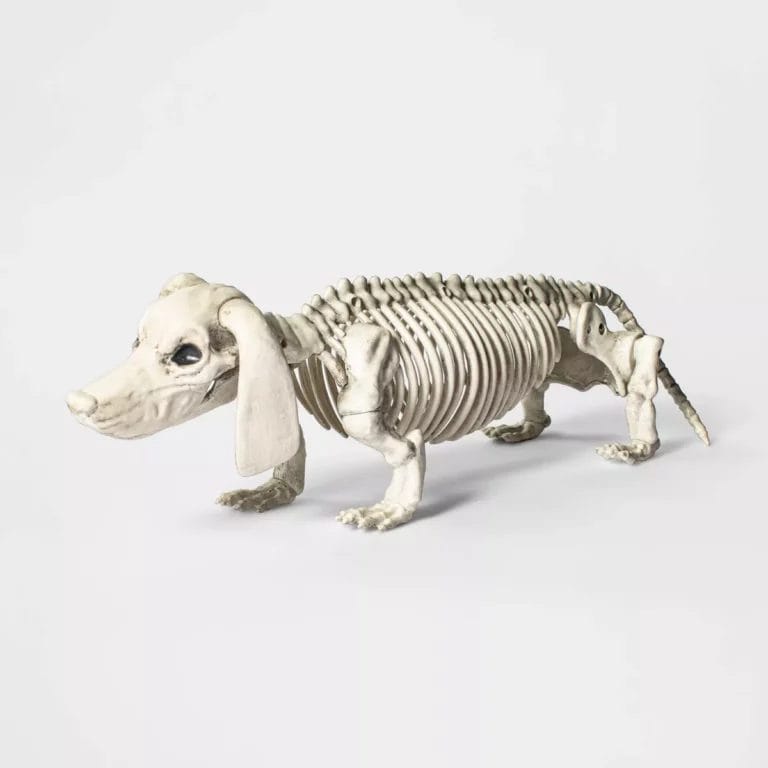 Target Hyde & Eek Dachshund Skeleton Halloween Prop