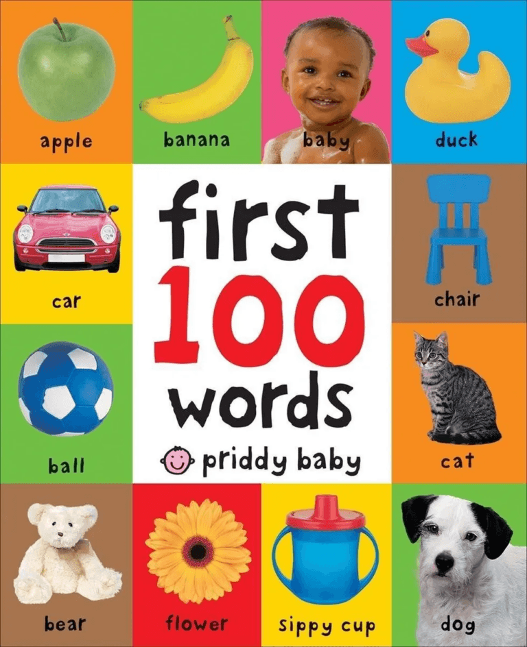 first 100 words board book