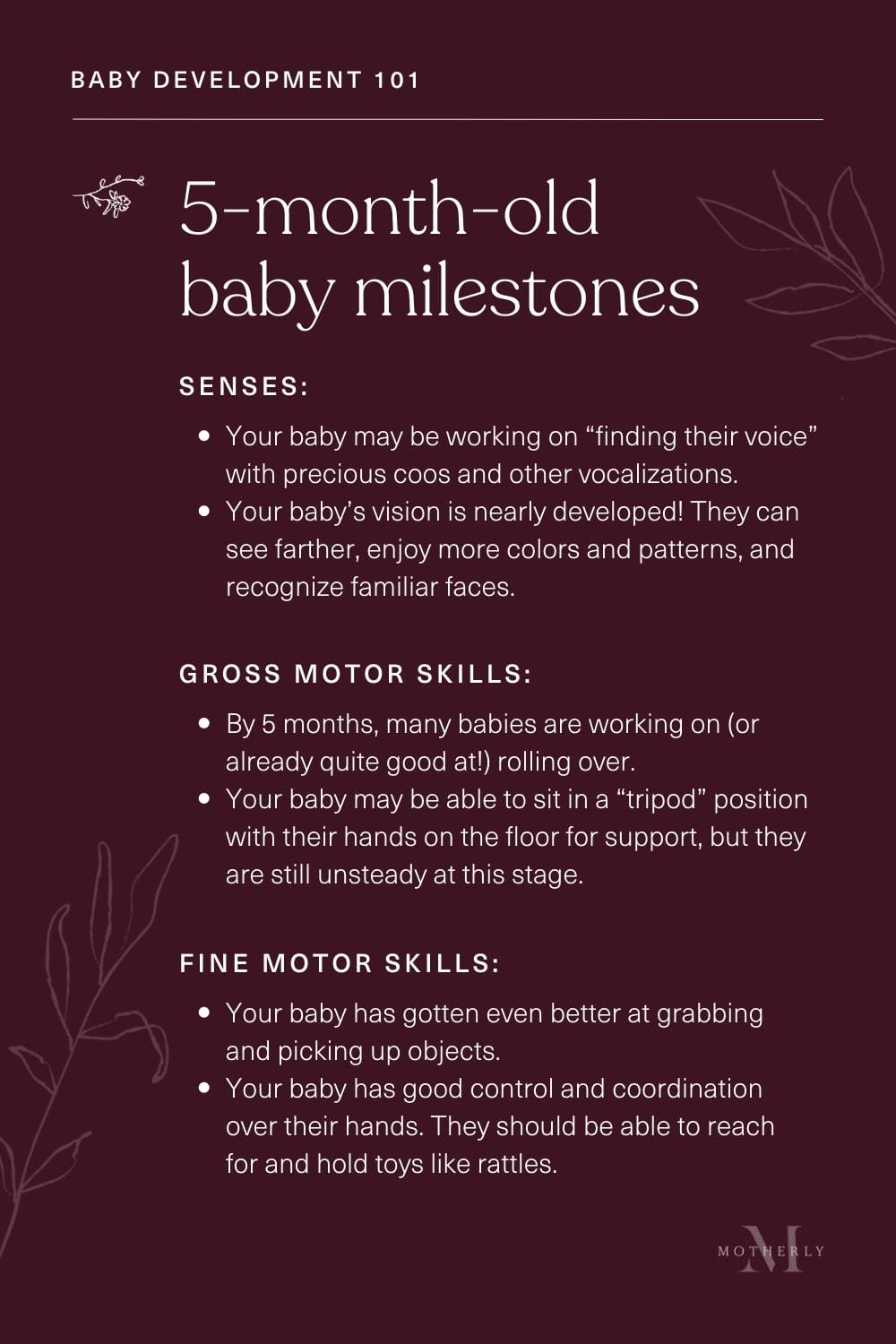 5 month fashion infant milestones