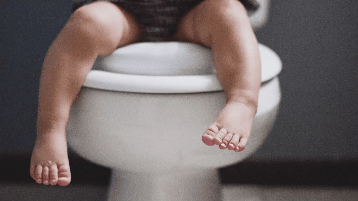 lies about potty training