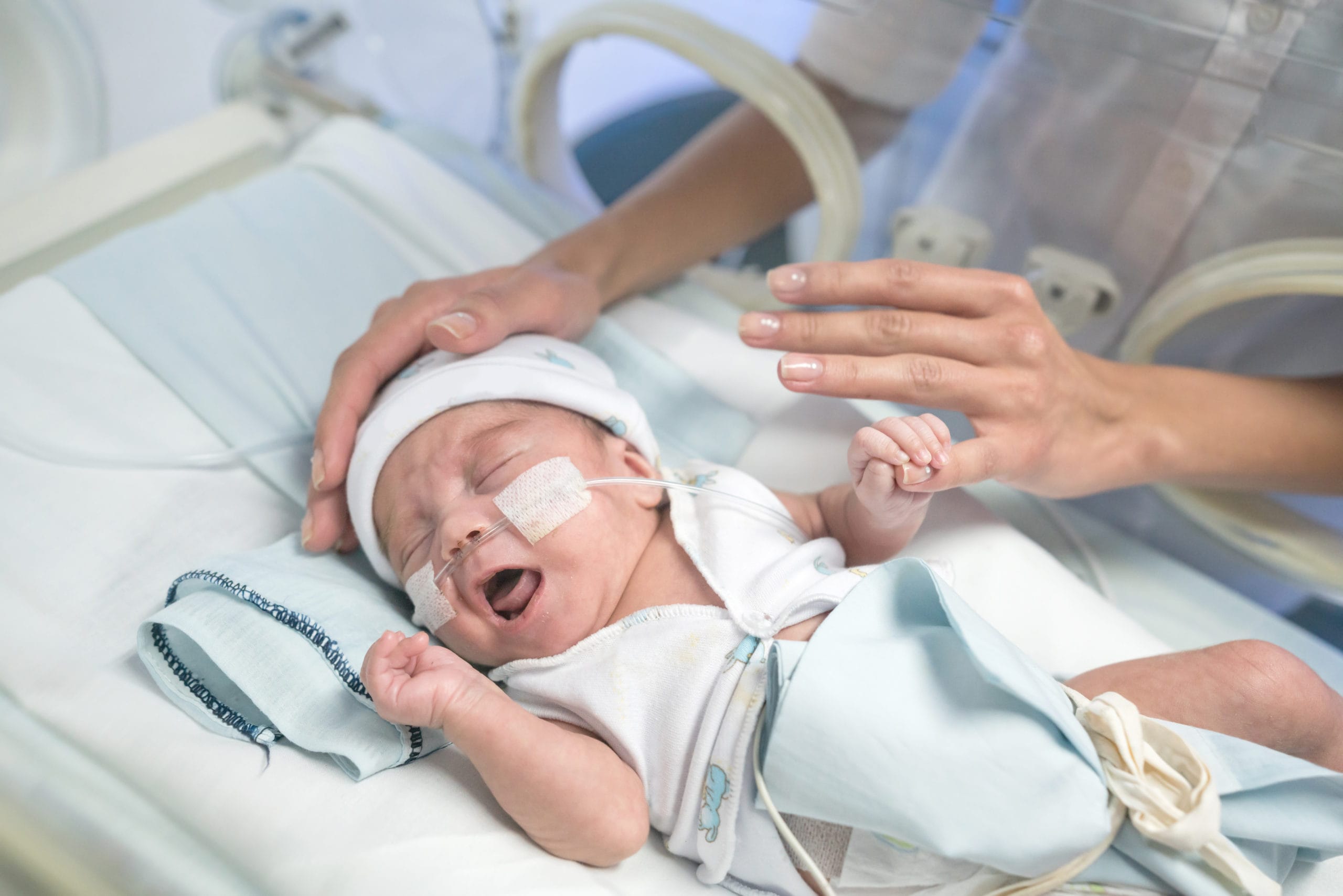 preemie baby in the NICU