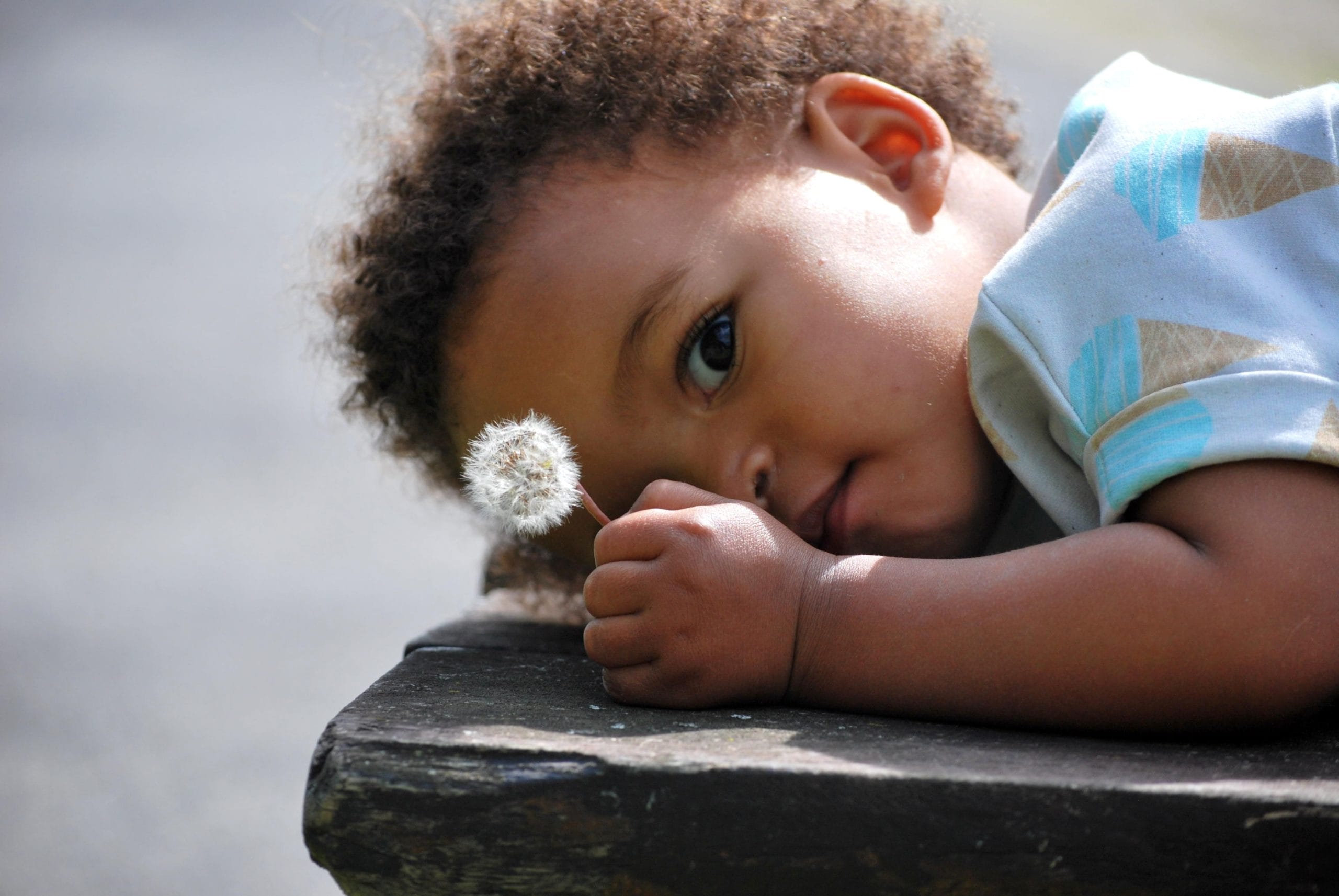 toddler playing with a dandelion