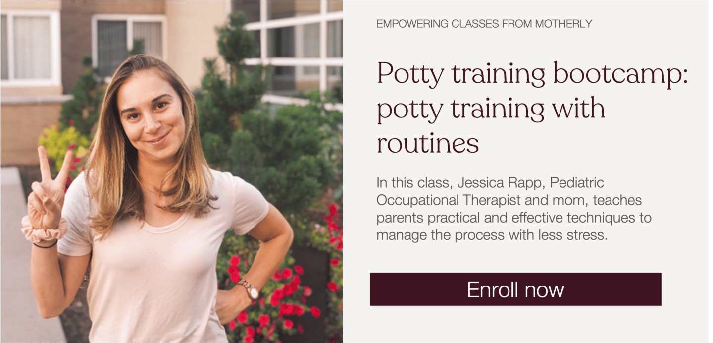 potty training 3 Motherly