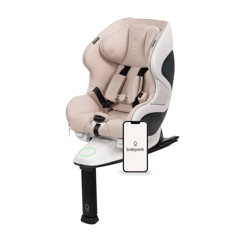 Babyark Convertible Car Seat