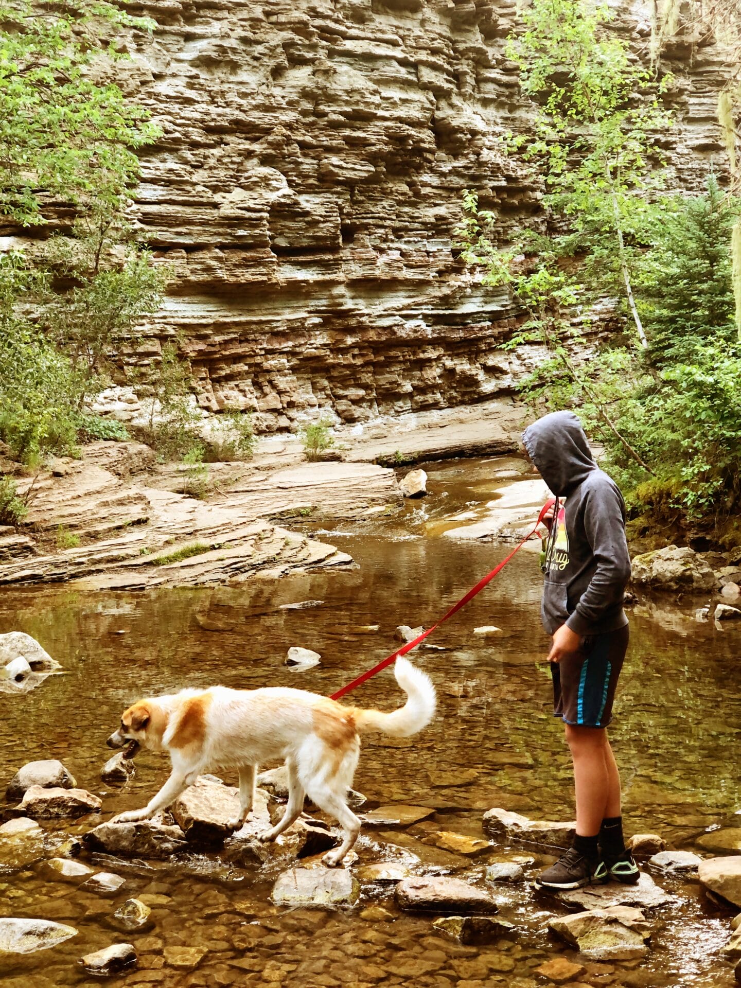 Boy and dog walking across a river, on national park road trip