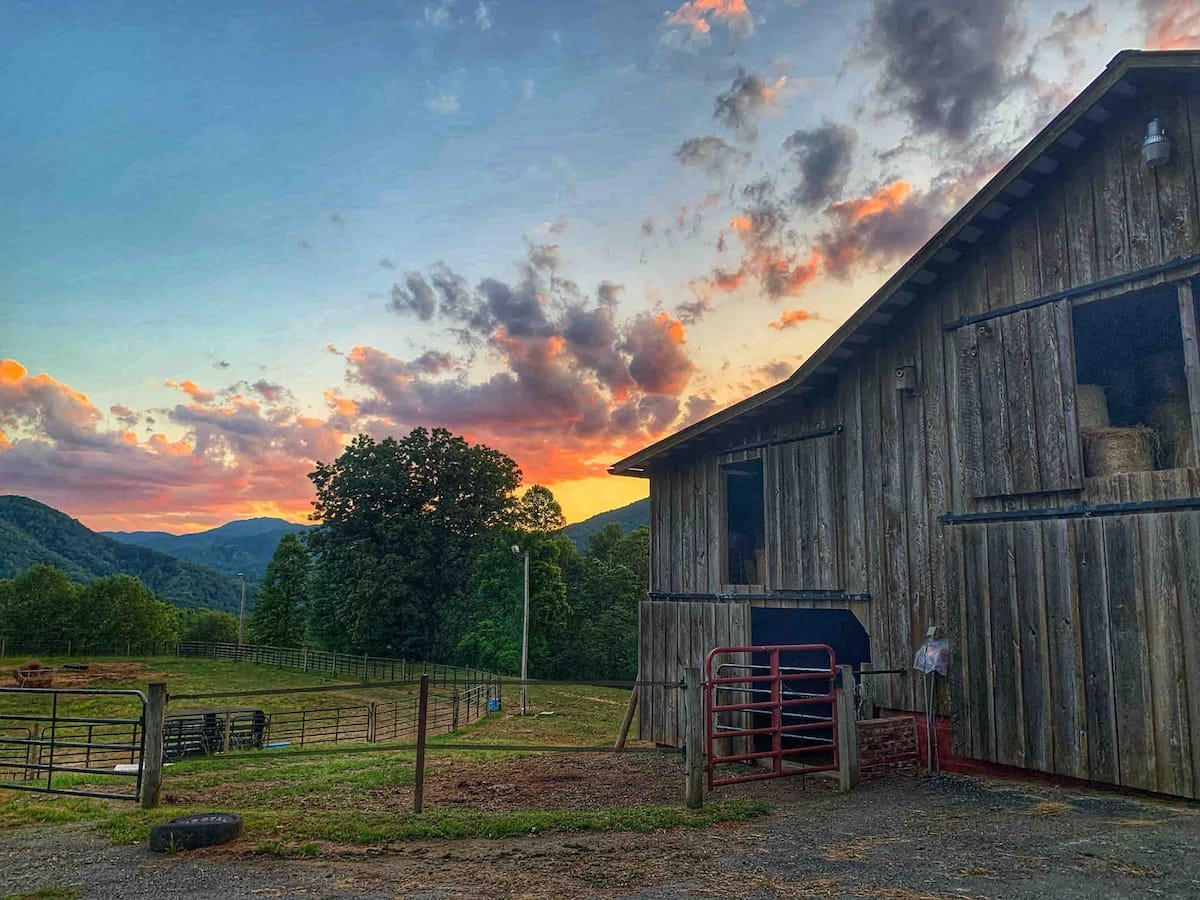 Farmhouse at Jewel Hill Farms, a farm stay in North Carolina