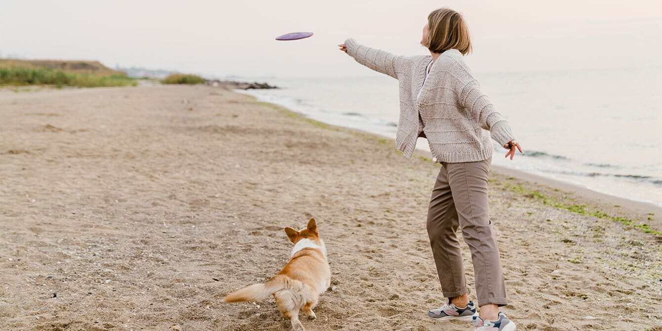 child free woman on beach playing frisbee with dog