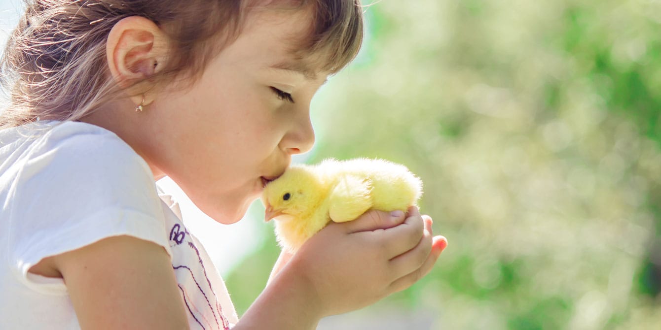 little girl kissing a baby chicken- birth month birds