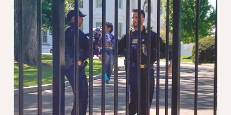 Toddler slips past security at White House