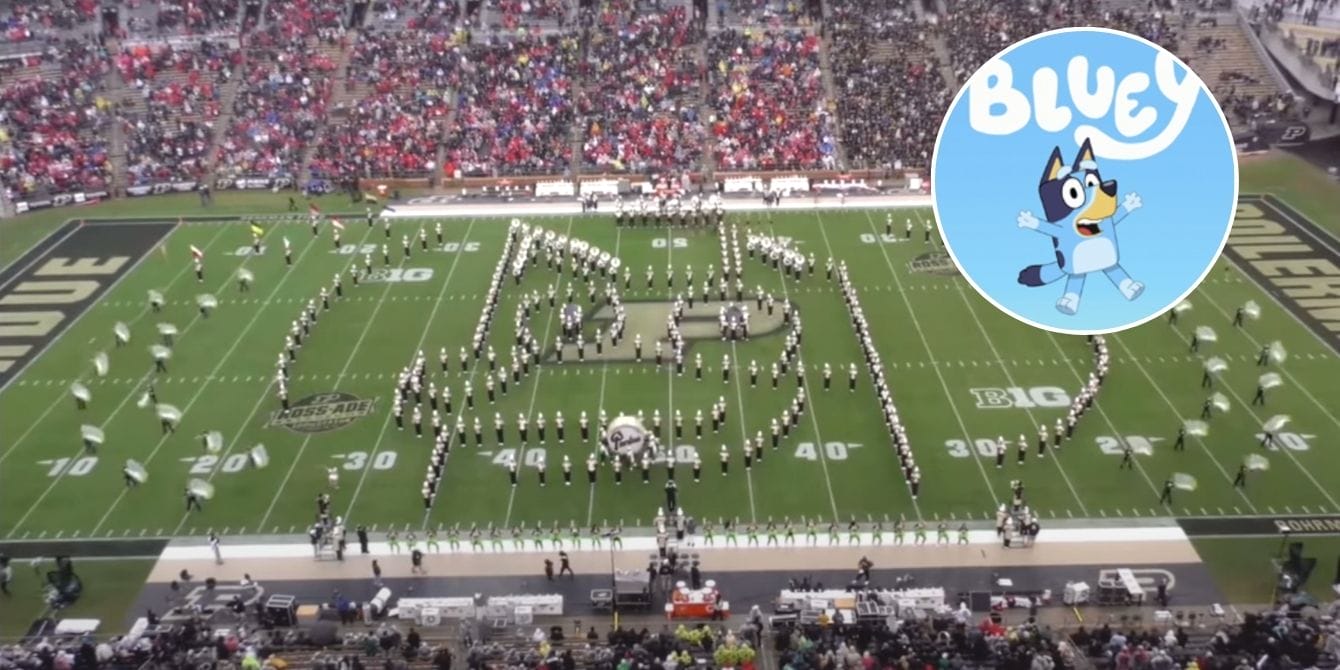 Purdue marching band Bluey