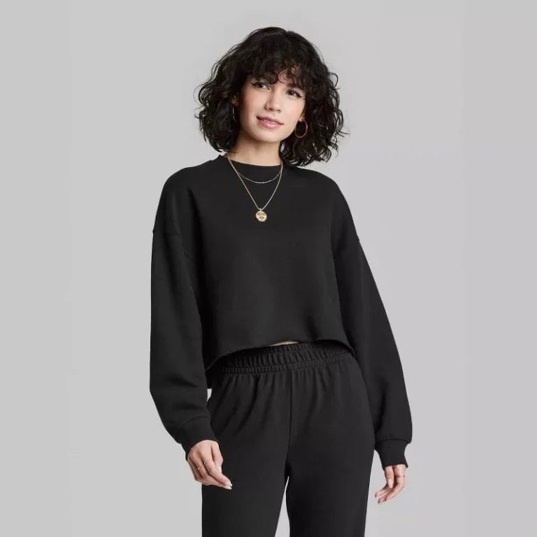 WIld Fable Cropped Sweatshirt