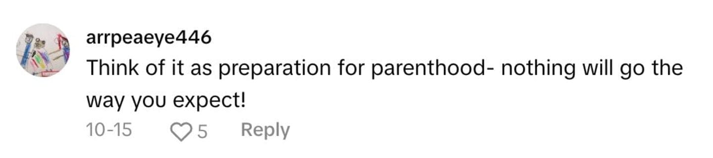 A social media comment about a gender reveal cake that says, "Think of it as preparation for parenthood - Nothing will go the way you expect!